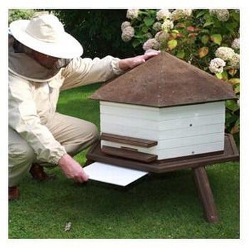 Homebee Honeyhive Kits Harrod Horticultural UK