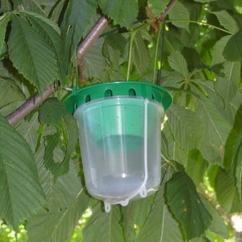 Horse Chestnut Leaf Miner Trap