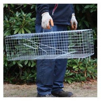 Humane Rabbit Trap