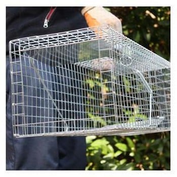 Humane Rabbit Trap