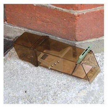 Humane Single Mouse Trap Humane Single Mouse Trap