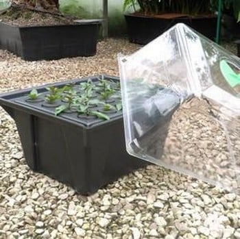 Hydropod Cuttings Propagators