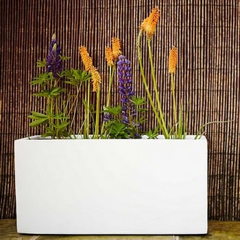 Jumbo Poly Trough