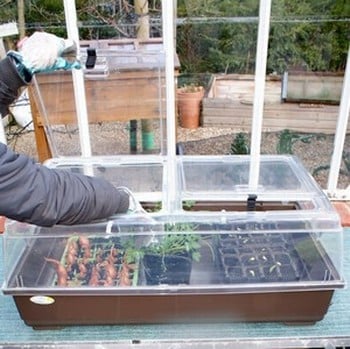 Jumbo Superior Propagator