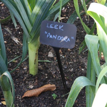 Plant Labels - Garden Supplies by Harrod Horticultural