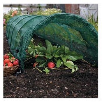 Large Crop Protection Tunnel Packs (Set of Two)
