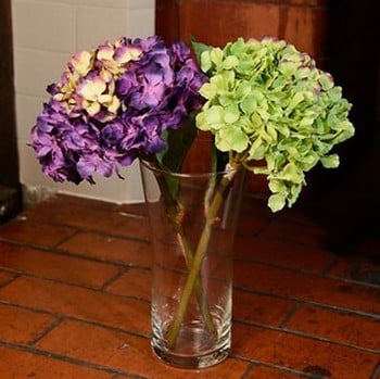 Large Hydrangea Stems (Set of 2) by Sia