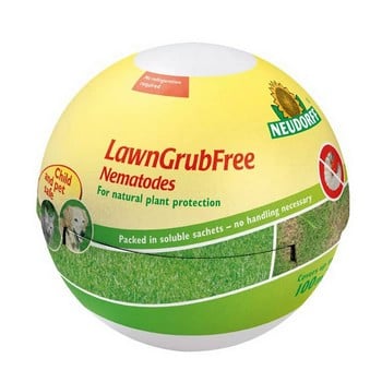 LawnGrubFree Nematodes LawnGrubFree Nematodes