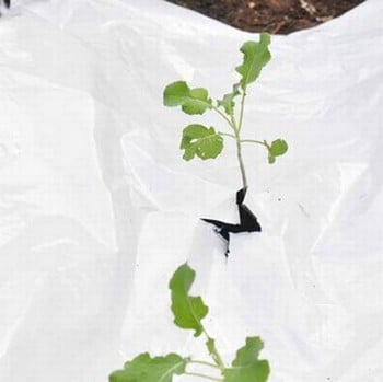 Light Reflective Mulch Weed Control Fabric