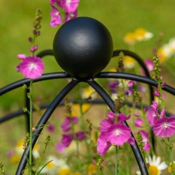 Lobster Pot Plant Support - Matt Black