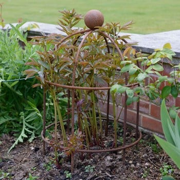 Lobster Pot Plant Support - Rust