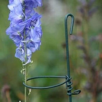 Loop Stakes Plant Supports Harrod Horticultural Uk