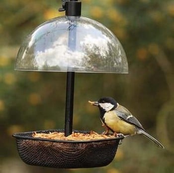 Mealworm & Suet Pellet Bird Feeder - Harrod Horticultural