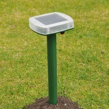 Mega-Sonic Solar Mole Spike Mega-Sonic Solar Mole Spike