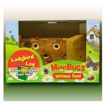 Mini Bugs Bug Box