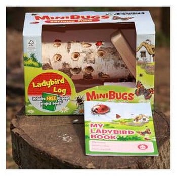 Mini Bugs Ladybird Log