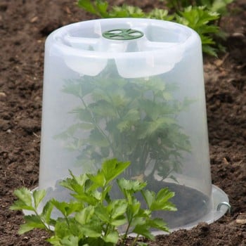 Mini Greenhouse Forcing Cloche