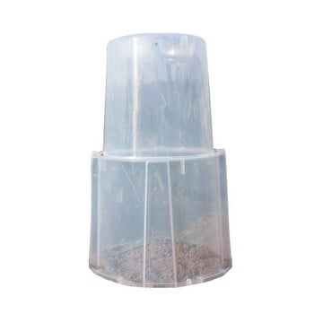 Mini Greenhouse Forcing Cloche