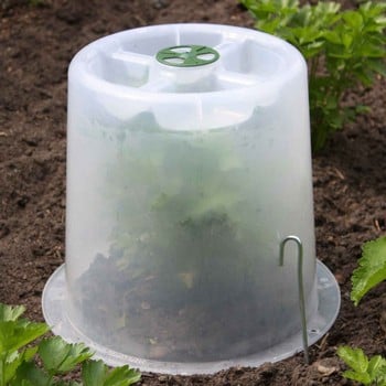 Mini Greenhouse Forcing Cloche