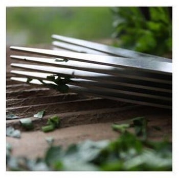 Multi-Bladed Herb Scissors