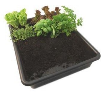 Multi-Purpose Garden Tray