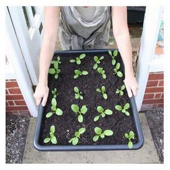 Multi-Purpose Garden Tray