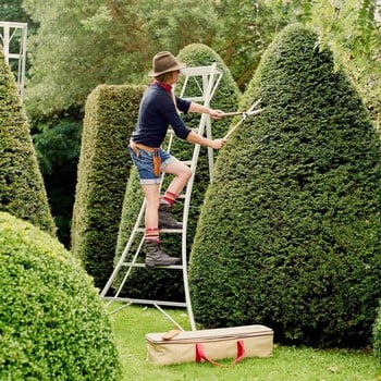 Niwaki Tripod Ladder