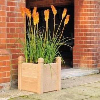 Oak Planters