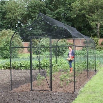 Ogee Arch Fruit Cage