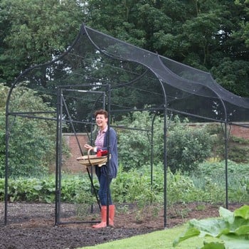 Ogee Arch Fruit Cage