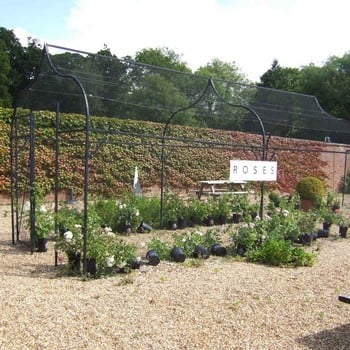 Ogee Arch Fruit Cage