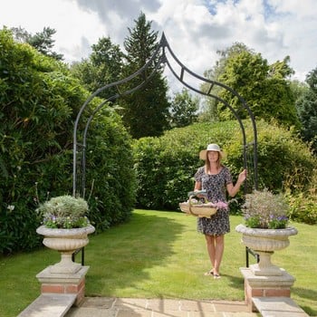 Ogee Half Lattice Standard Garden Arch