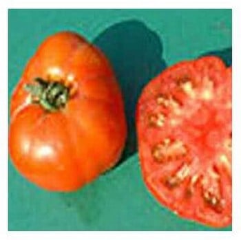 Organic Alexandros Tomato Seeds