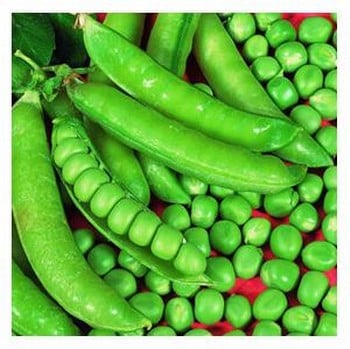 Organic Karina Pea Seeds