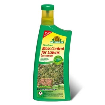 Organic Moss Control for Lawns