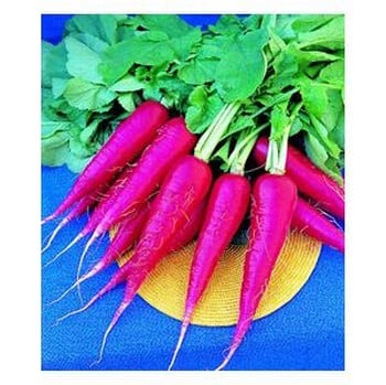 Organic Oriental Rosa 2 Radish Seeds