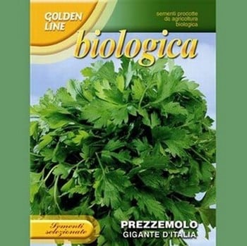 Organic Parsley Gigante