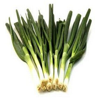 Organic Spring Onion - Ramrod