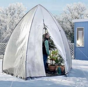 Overwintering Plant Tent