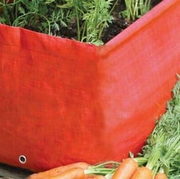 Patio Planter Pack Special Offer