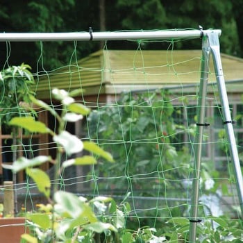 Pea and Bean Netting