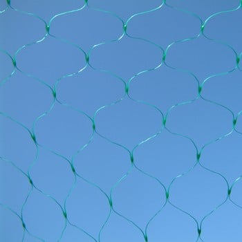 Pea and Bean Netting