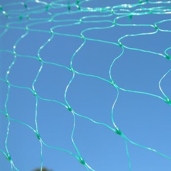 Pea and Bean Netting