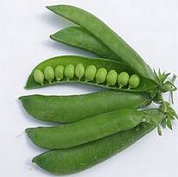 Peas Kelvedon Wonder - Organic Plant Packs