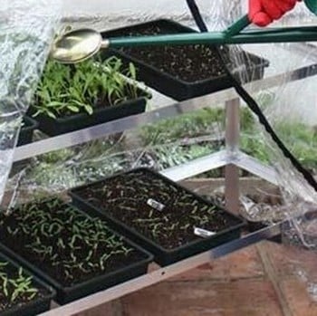 Plastic Seed Trays (10 Pack)