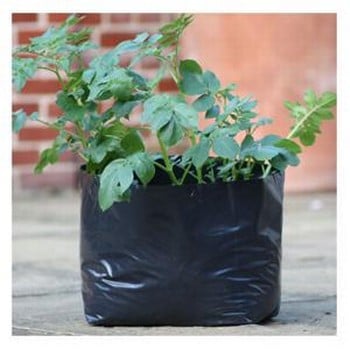 Polythene Potato Planters - Set of 5