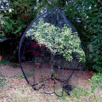 Popadome Fruit Tree Cover (3.5m high)