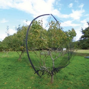 Popadome Fruit Tree Cover (3.5m high)