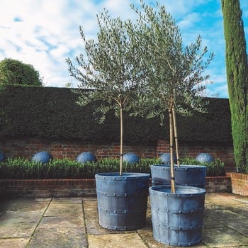 Porto Planters Porto Planters