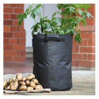 Potato clearance grow sacks